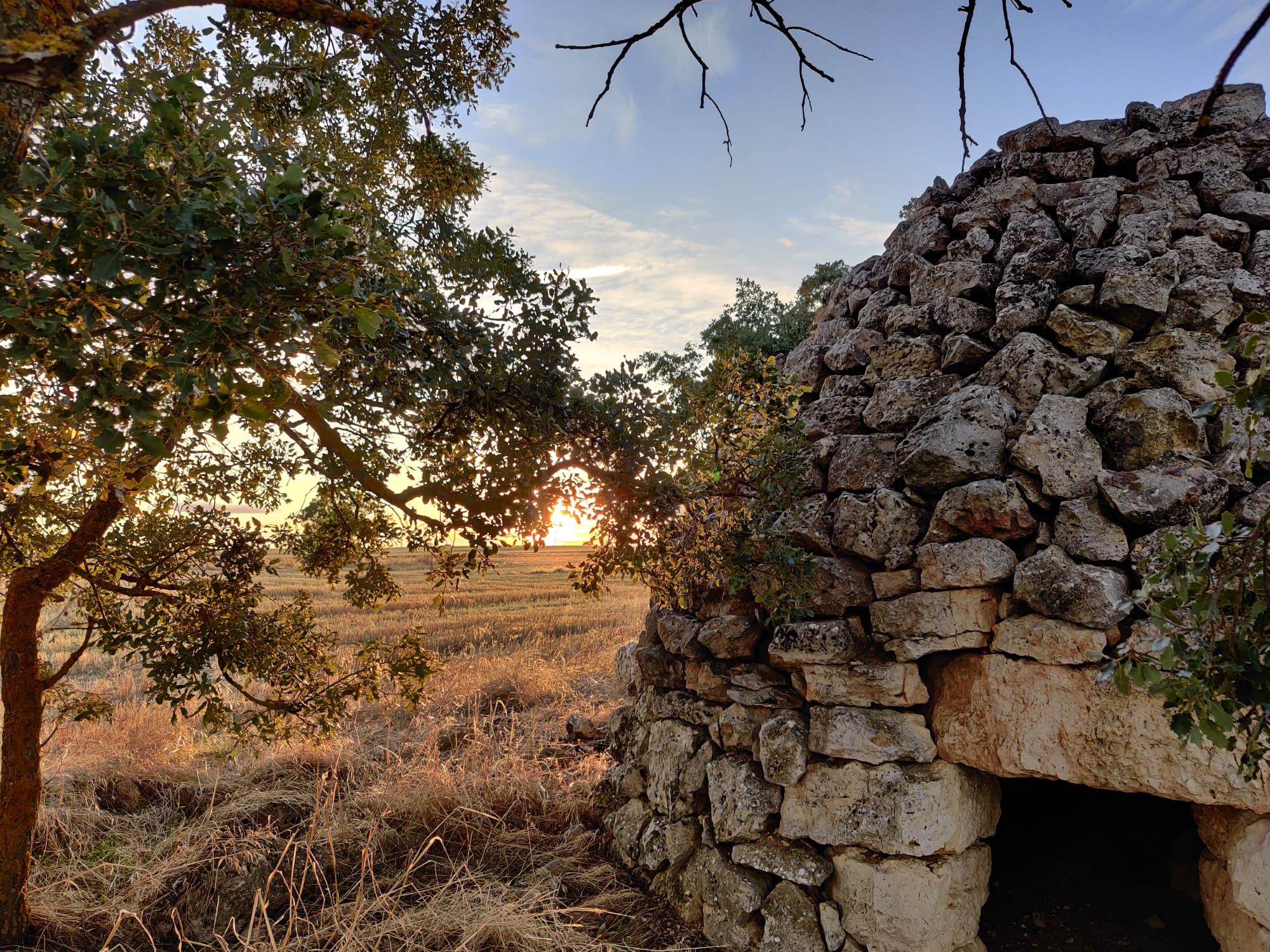 CHOZO es un refugio de ramaje o piedra que se construia tanto en zona montañosa como en dehesa y era utilizado por pastores y agricultores
                   para pernoctar junto al rebaño o resguardarse.